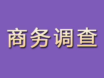 赣榆商务调查